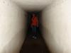 dsc00121_t1.jpg