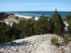 dsc00271_t1.jpg