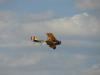 dsc00512_t1.jpg