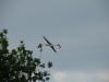 dsc00566_t1.jpg