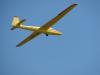 dsc00619_t1.jpg