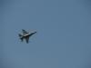 dsc00954_t1.jpg