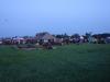 dsc01031_t1.jpg